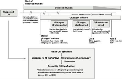 Corrigendum: Efficacy of Dose-Titrated Glucagon Infusions in the Management of Congenital Hyperinsulinism: A Case Series